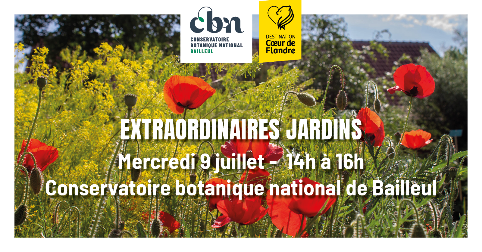 Sortie nature « Extraordinaires jardins  » - Bailleul (Nord)