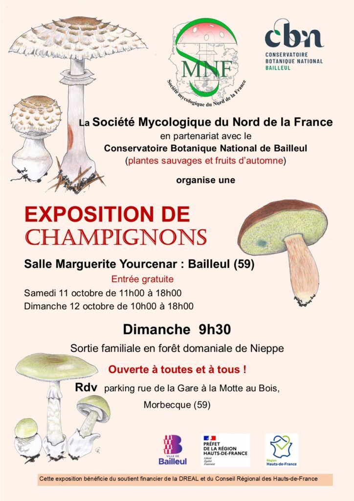 Exposition de champignons - 11 & 12 octobre 2025 - Bailleul