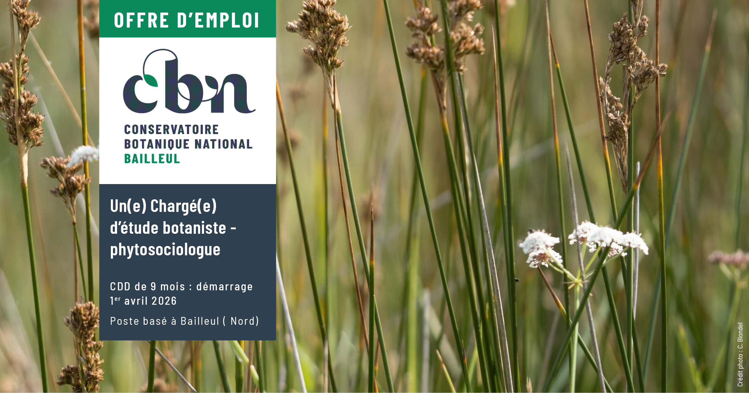 Offre d'emploi : Chargé(e) d’étude botaniste phytosociologue