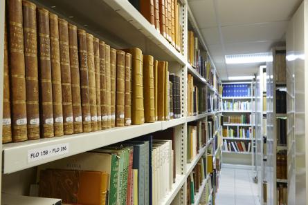 Rayonnage de la bibliothèque