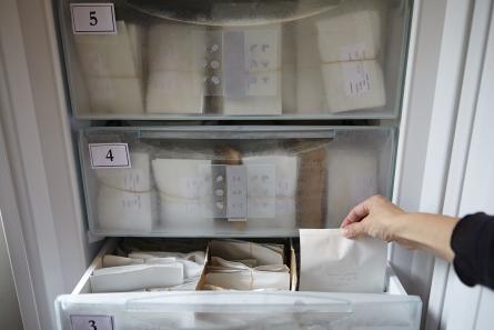 conservation des semences en congélation