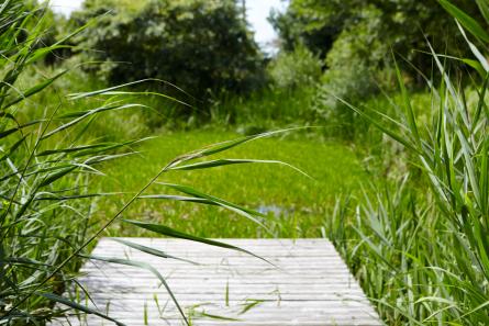 Lettre d'infos CBNBL