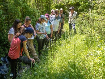 Botanistes : qui sommes-nous ?