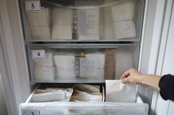 conservation des semences en congélation