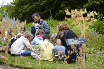 activité pédagogique