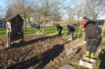 Chantier de plantation