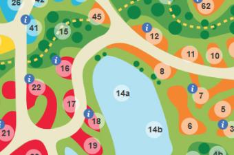 plan Jardin des plantes sauvages