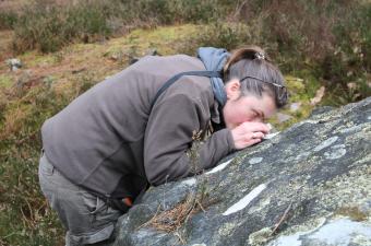 reconnaissance lichen