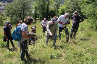 Samedi 7 juin 2025 | RENCONTRES BOTANIQUES - Forêt domaniale de Vauclair (02)