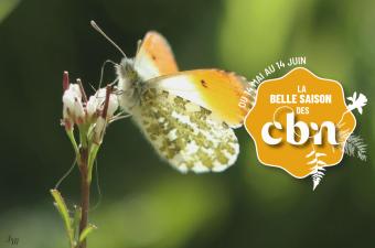 Sortie nature « Tournée générale ! » - Wavrin (Nord) 