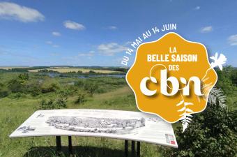 Sortie nature - Lecture de paysage et découverte de la flore sauvage du belvédère de Frise (Éclusier-Vaux | Somme)