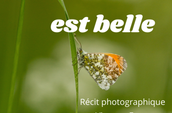 conférence « La nature est belle » - Lillers (62)