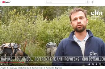 Les actions de renforcement d'espèces menées par le CBN de Bailleul en Belgique