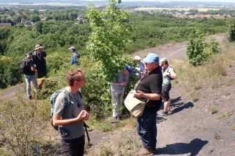 Retour sur les Rencontres botaniques dans le Nord - Pas-de-Calais