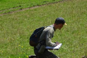 De belles observations transmises par les partenaires que nous avons formés à la phytosociologie, ça fait plaisir !