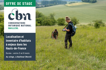 Offre de stage " Localisation et inventaire d’habitats à enjeux dans les Hauts-de-France "