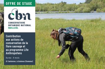Offre de stage "Contribution aux actions de conservation de la flore sauvage  et au programme Life Anthropofens "