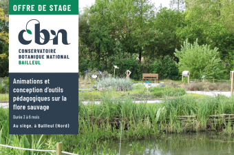 Offre de stage - Animations et conception d’outils pédagogiques sur la flore sauvage