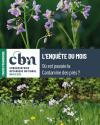 Cahier pédagogique Cardamine des prés 