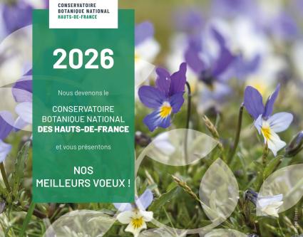 Meilleurs vœux du CBN des Hauts-de-France